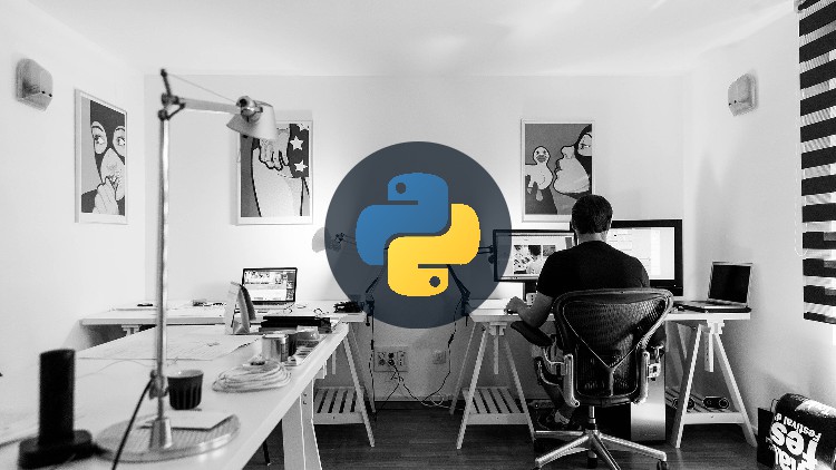 Read more about the article The Python Programming Comprehensive Bootcamp