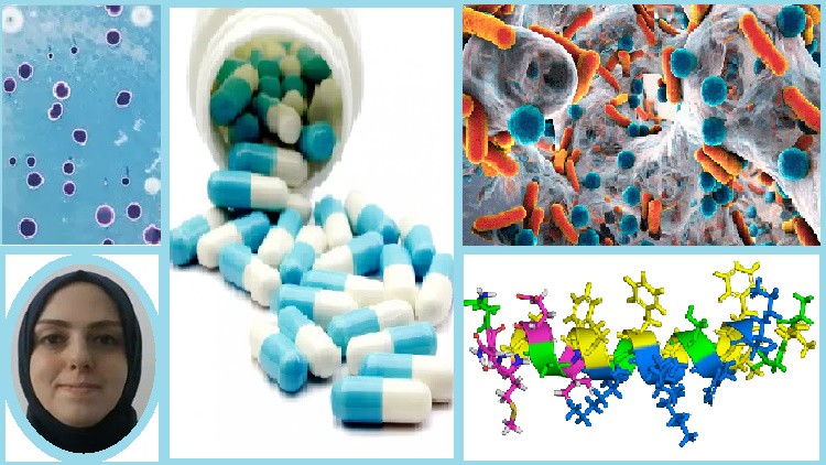 Read more about the article Antibiotics Use, Pharmacological Effect and Classification