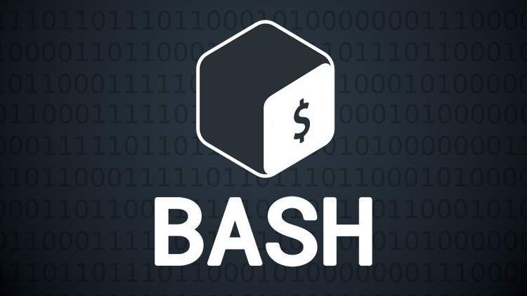 Read more about the article Bash Shell Scripting: Up & Running for Beginners