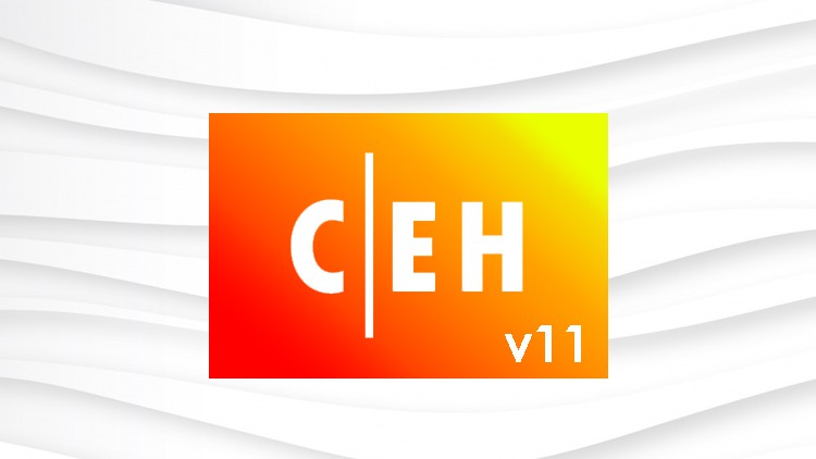 Read more about the article Certified Ethical Hacker CEH v11 Practice Test
