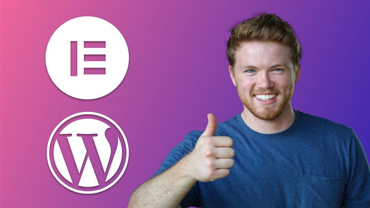 Read more about the article Learn Elementor & WordPress, for Startups & Freelancers