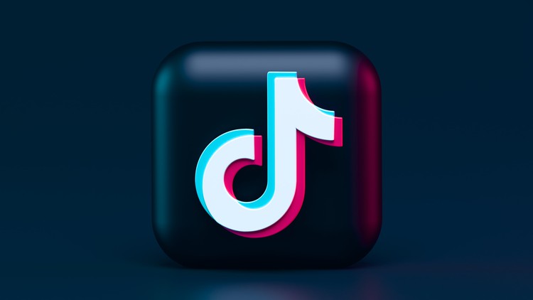 Read more about the article TikTok Marketing 101: Strategies To Go Viral On Tiktok