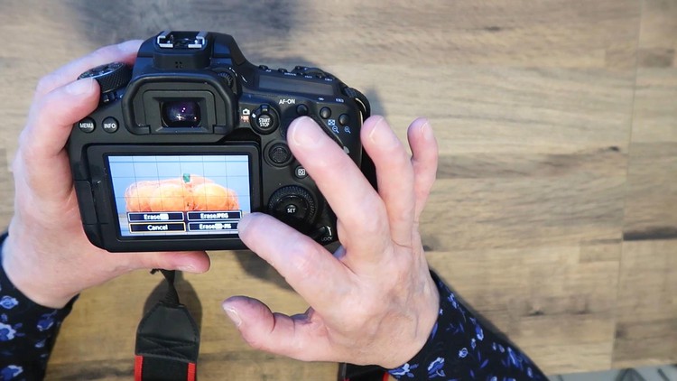 Read more about the article DSLR Photography for Beginners with a Canon Camera
