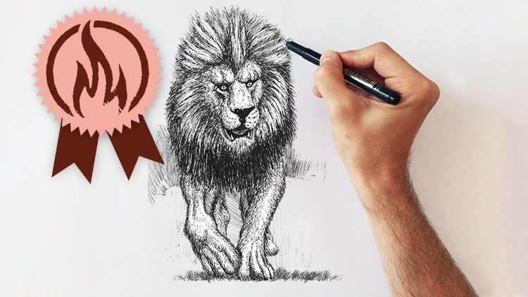 Read more about the article Drawing Academy – Creative Drawing, Illustration & Sketching