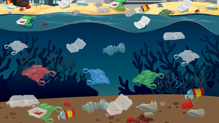 Read more about the article Plastic Waste Pollution: causes, impacts & solutions