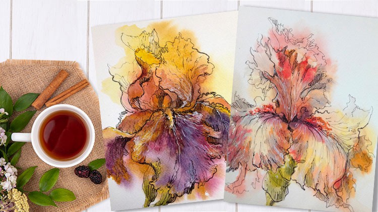 Read more about the article Irises in Watercolor. Pen & Ink Study