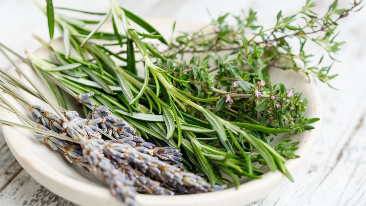 Read more about the article Kitchen Herbs And Their Medicinal Properties