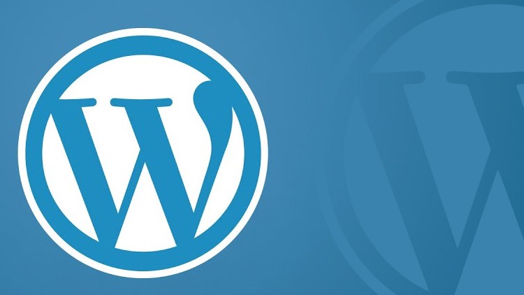 Read more about the article Learn WordPress Now: WordPress for Beginners 2024