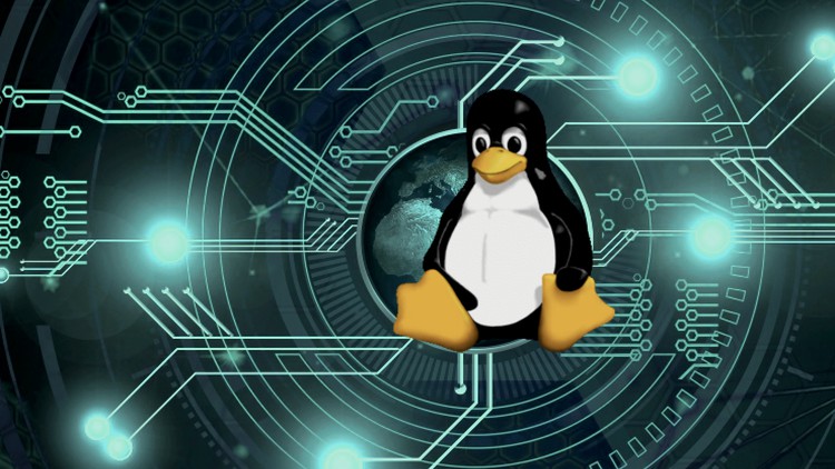 Read more about the article Linux for Beginner to Intermediate