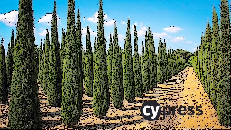 Read more about the article Master Cypress 8 in 15 minutes a day