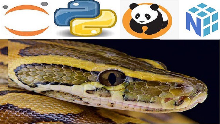 Read more about the article Python Bootcamp for Data Science 2021 Numpy Pandas & Seaborn