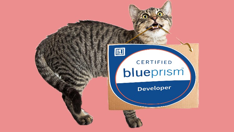 Read more about the article Blue Prism Developer Tests Certification 2021