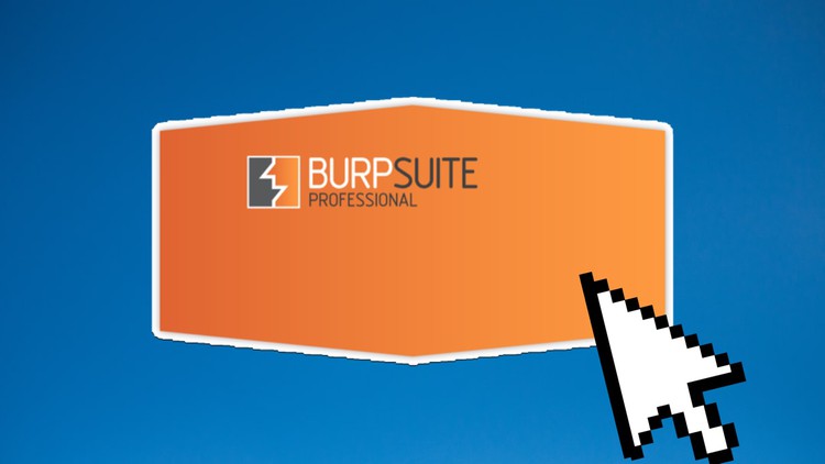 Read more about the article Burp Suite: In Depth Survival Guide