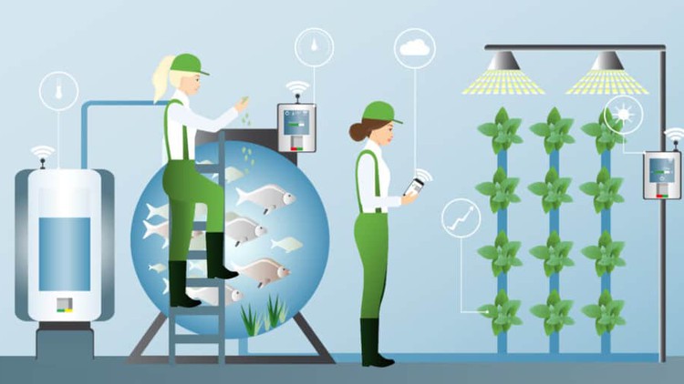 Read more about the article Fundamentals of Aquaponics