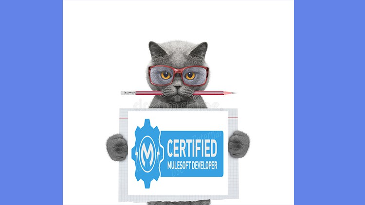 Read more about the article MuleSoft Developer Level 1 (Mule 4) Certification  2021