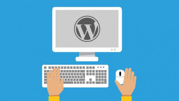Read more about the article WordPress For Beginners