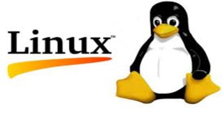 Read more about the article Linux Basics Part 2