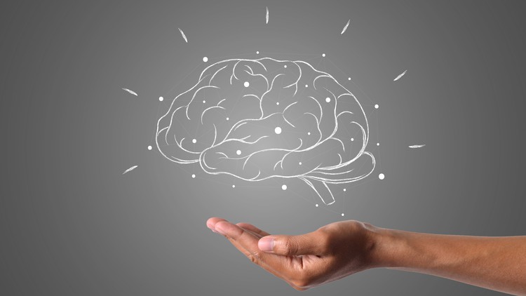 Read more about the article Neuroplasticity: How To Rewire Your Brain