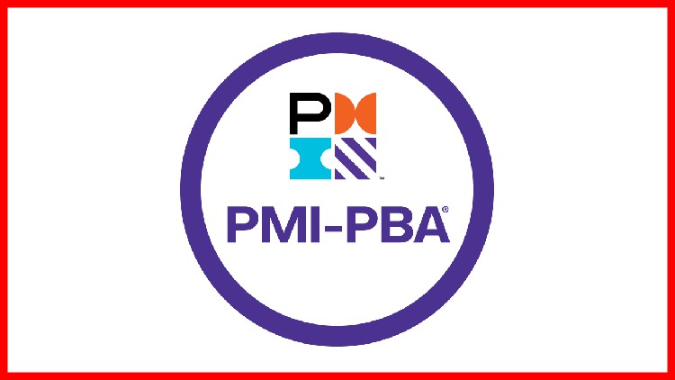 Read more about the article Business Analyst Certification PMI-PBA 2021 Exam Prep