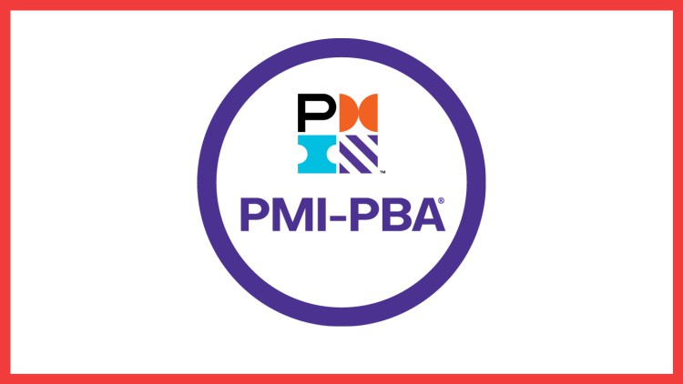 Read more about the article Business Analyst Certification (PMI-PBA) Practice Tests