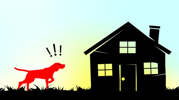 Read more about the article How To Use Birddogs To Find More Real Estate Deals