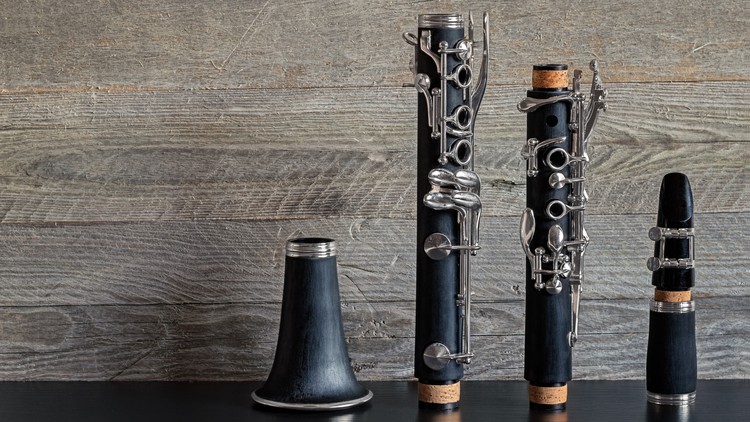 Read more about the article Introduction to Clarinet