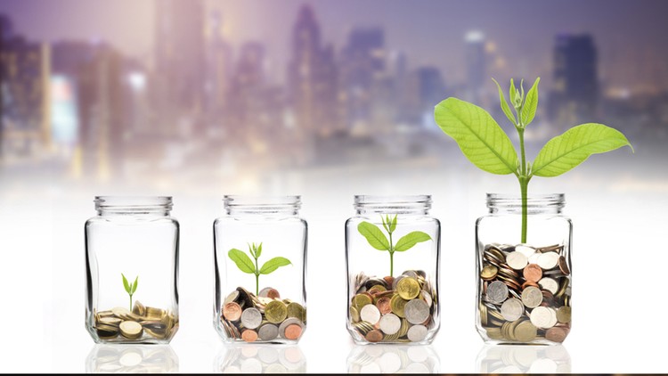 Read more about the article Startup Business: How To Raise Seed Capital