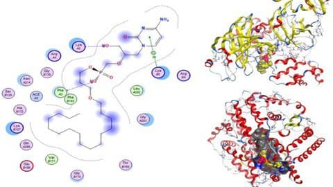 Read more about the article Drug Design and Molecular Docking by using computation Tools