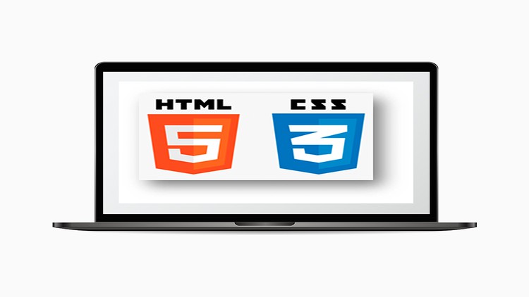 Read more about the article Learn to Code Your HTML Website: Coding for Kids & Beginners