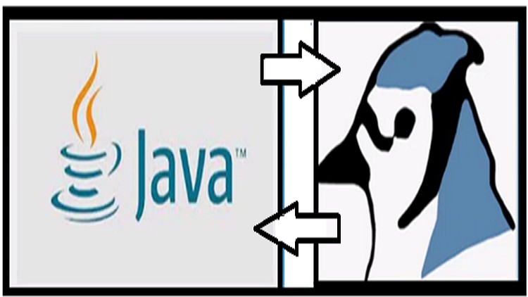 Read more about the article Project Designing in Java