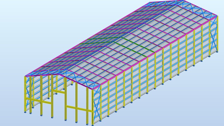 Read more about the article Robot Structural Analysis (Steel Structure)