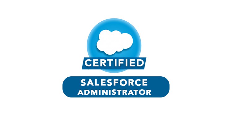 Salesforce ADM-201-Administration Essentials-Pratice Test - StudyBullet.com