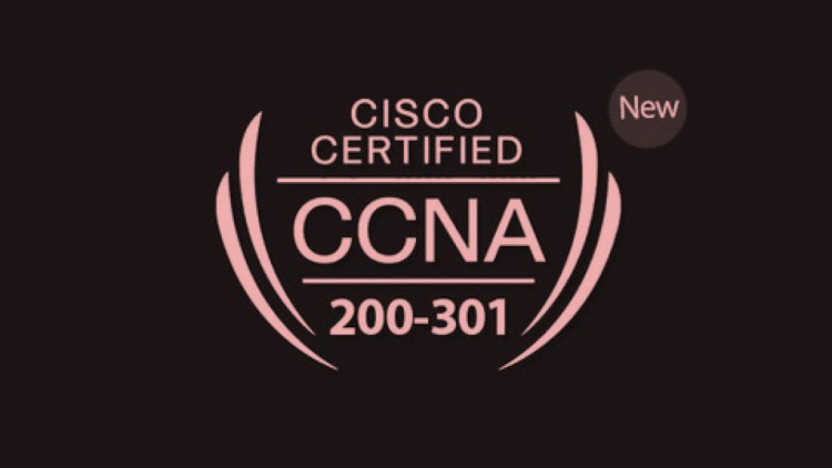 Read more about the article Ultimate CCNA 200-301 Practice Exams [2022]
