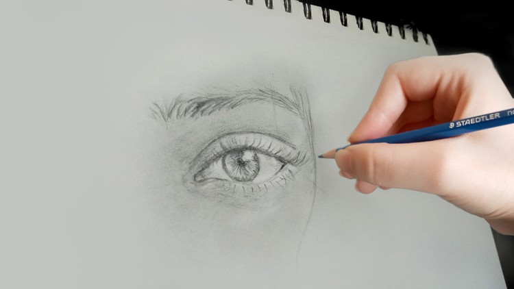 Read more about the article Ultimate & Complete Drawing course : Beginner to Advanced!