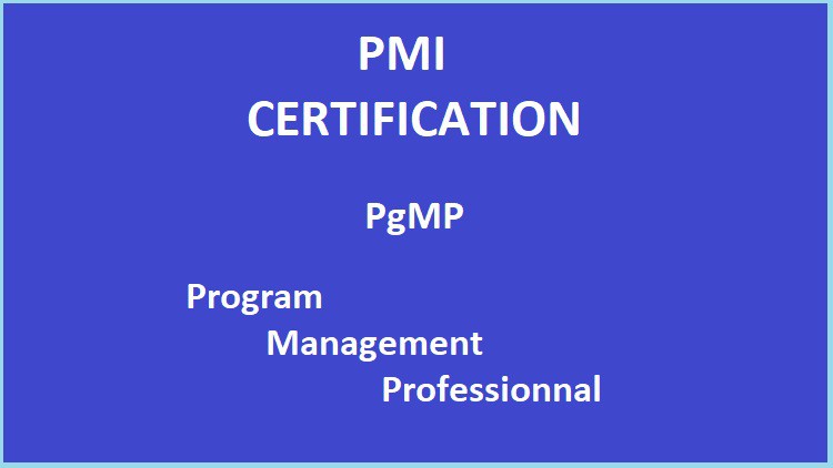 Read more about the article 2022 – PMI PgMP – Program Management Professional