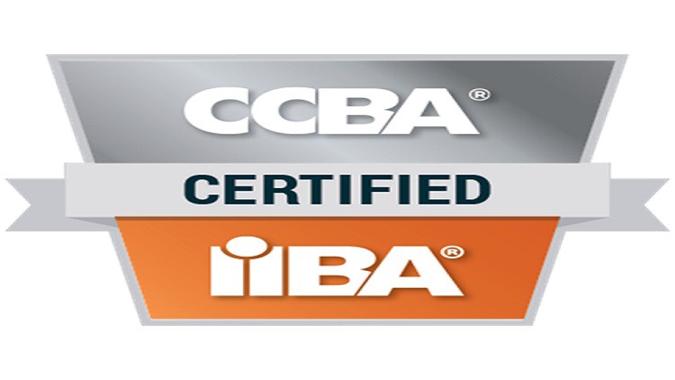Read more about the article CCBA Prep training