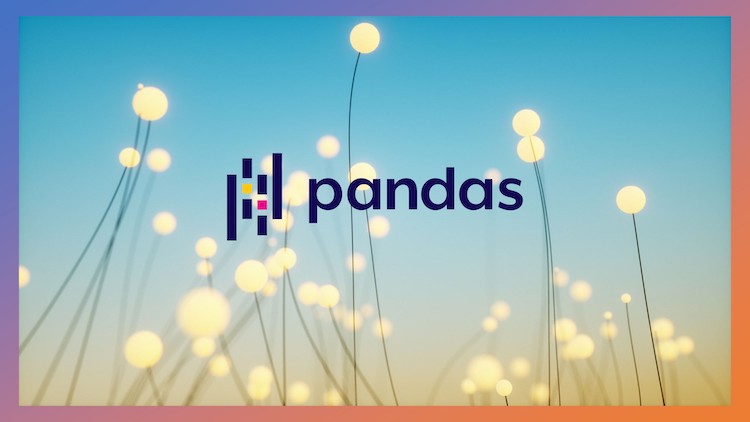 Read more about the article Essential Guide to Python Pandas