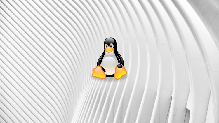 Read more about the article Linux for Data Engineers (Hands On)