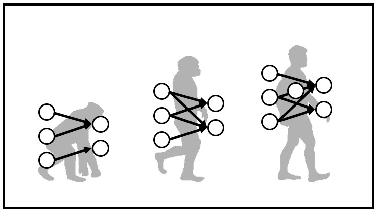 Read more about the article NeuroEvolution of Augmenting Topologies NEAT Neural Networks
