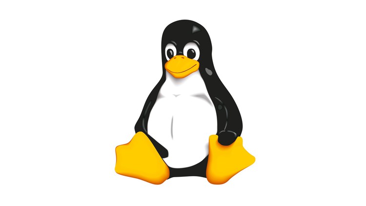 Read more about the article Intro to Linux