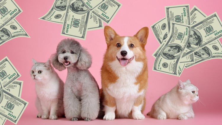 Read more about the article Discover How To Make Money With Your Pet