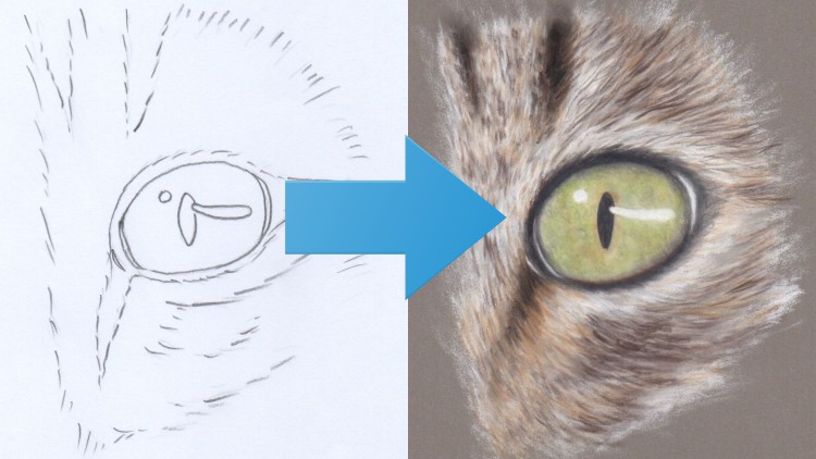 Read more about the article How To Draw a Cat's Eye | Pastel Pencil Techniques