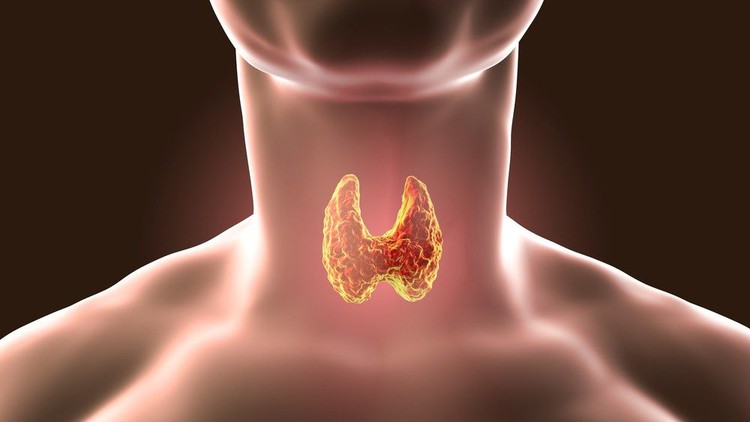 Read more about the article Thyroid Dysfunction