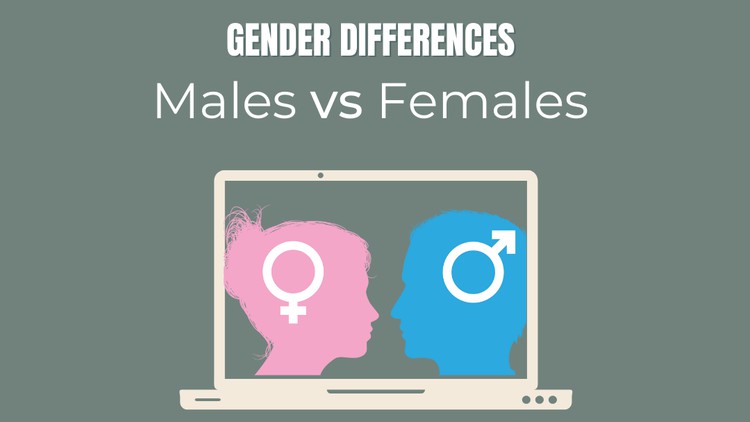 Read more about the article Dating and Attraction: Gender Differences – Males vs Females