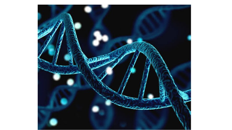 Read more about the article Genetics : All science related to genetic