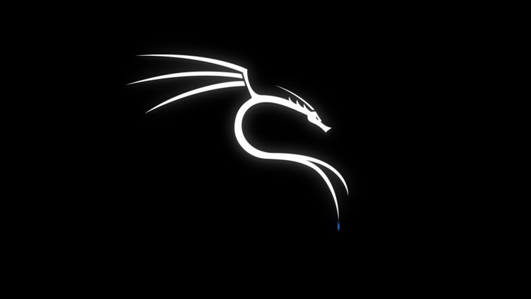 Read more about the article Everything About Kali Linux OS