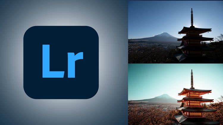 Read more about the article Adobe Lightroom Mobile Editing