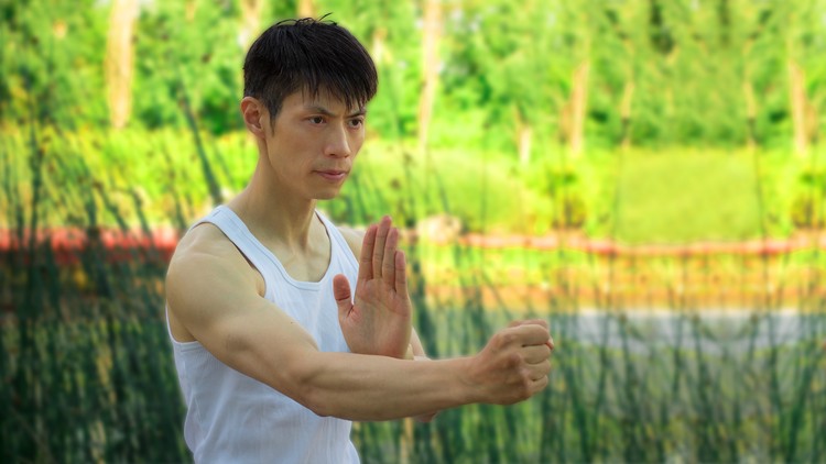 Read more about the article Learn Wing Chun Sil Lim Tao At Home FREE! With David Wong