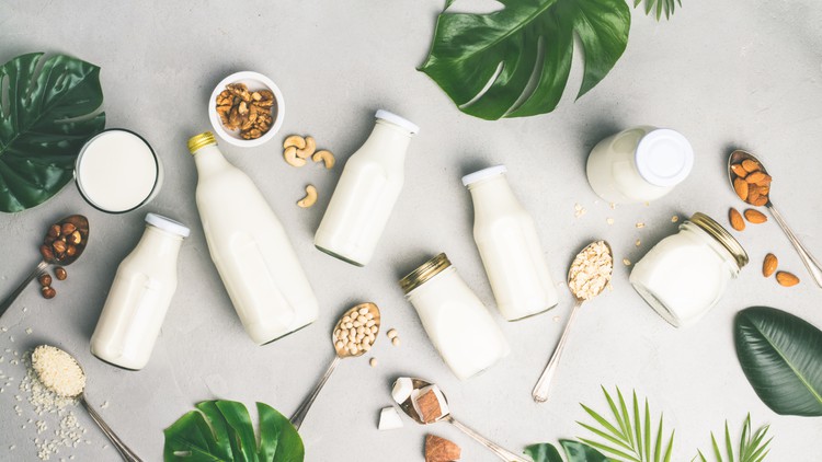 Read more about the article Learn Variety of Vegan Milks and Ways to Use Them