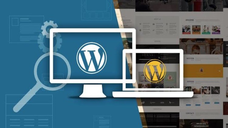 Read more about the article Become a Pro level of WordPress Website Designer